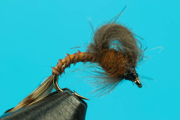 Loop Wing Emerger-Fishing Flies-BigYFlyCo.com — Big Y Fly Co