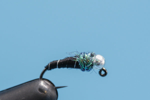 Tungsten Nymph Blue Poison Midge Fly Fishing Flies to Fill up Your Fly Box  or to Give as a Fly Fish Gift 