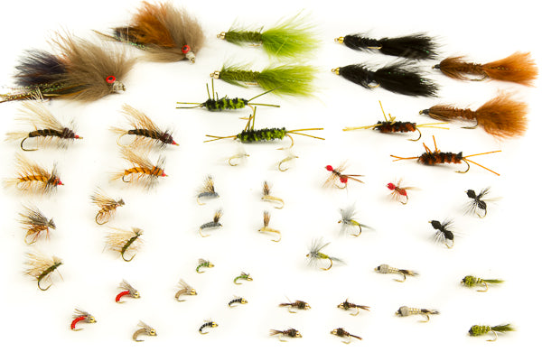 Madison River Fly Assortment-48 Flies #34