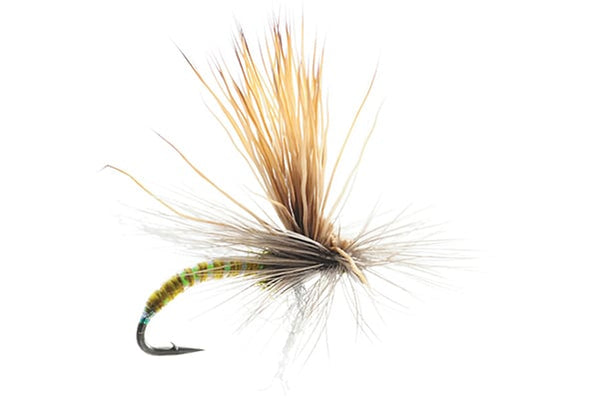 Green Drake Flies – Dries, Emergers & Nymphs Big Y Fly Co