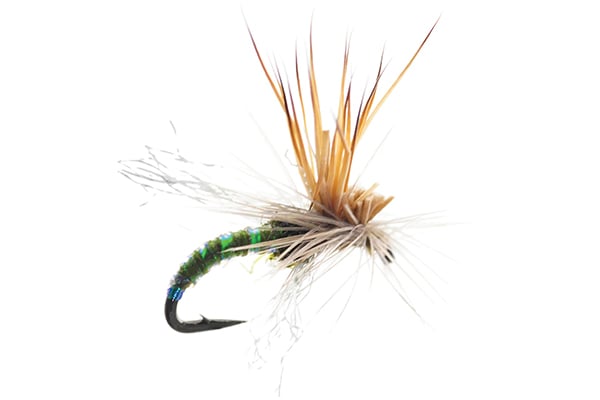 Missing Link Mercer's - Umpqua