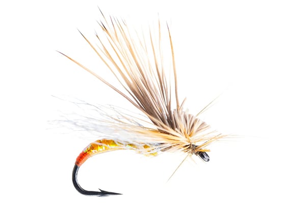 Missing Link — Big Y Fly Co