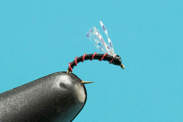 Miracle Midge-Trout Fishing Flies- — Big Y Fly Co