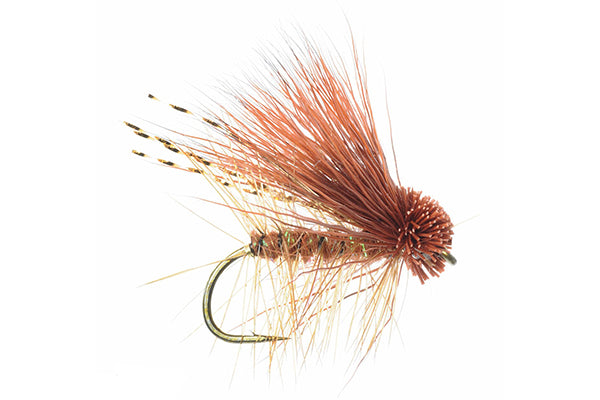 October Caddis Rusty - Umpqua