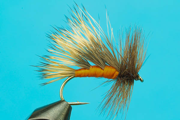 October Caddis-Dry — Big Y Fly Co - Main Image
