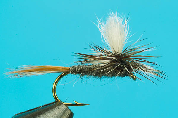 Big Y Fly Co-Parachute Adams-Dry Fly