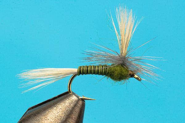 Parachute BWO Quill Body-Fishing Flies-BigYFlyCo.com — Big Y Fly Co