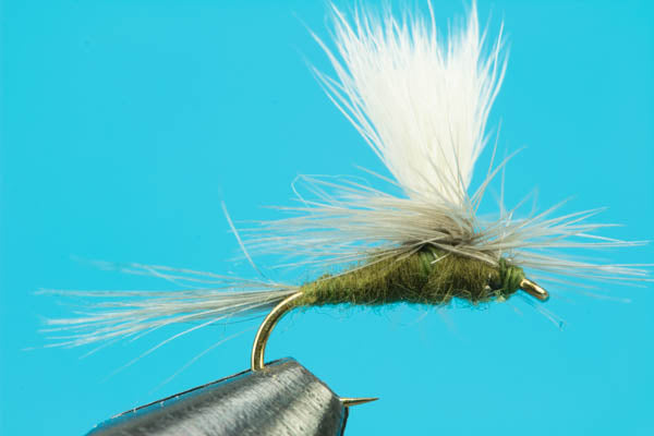 Parachute Blue Wing Olive-Discount Flies- — Big Y Fly Co