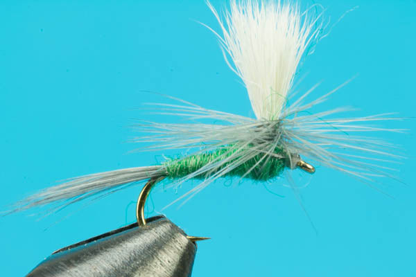 The Fly Fishing Place Pale Morning Dun - PMD - Classic Dry Fly Trout Flies  - Set of 6 Flies Size 14