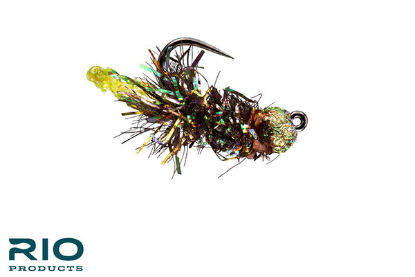 Peeping Caddis - RIO (Barbless)