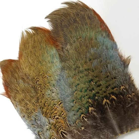 Hand Selected Golden Neck Pheasant Feathers Medium