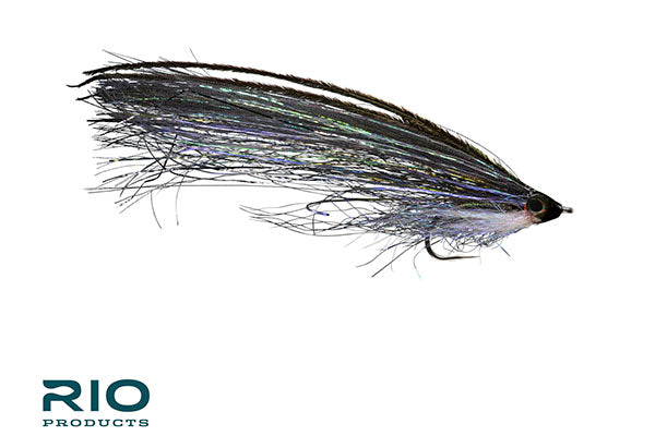 Pipe Eel - RIO