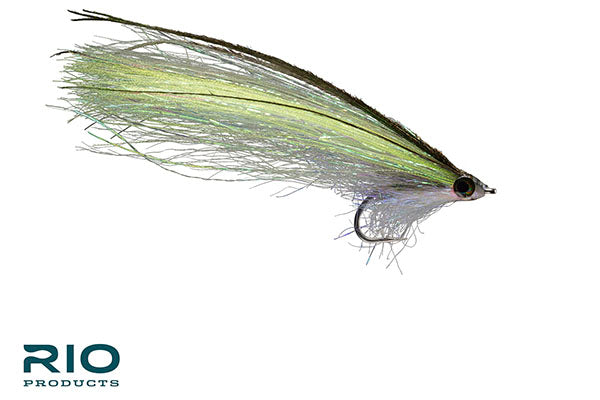 Pipe Eel - RIO