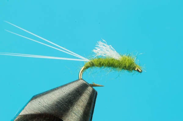Nymphs – Trout Nymph Patterns for Freshwater Fishing | Big Y Fly Co