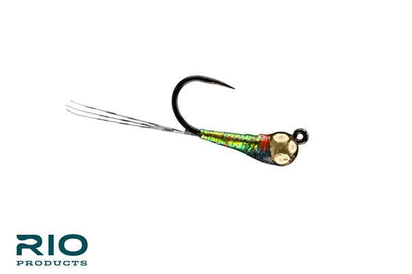 Rio Gold Jigger - Olive