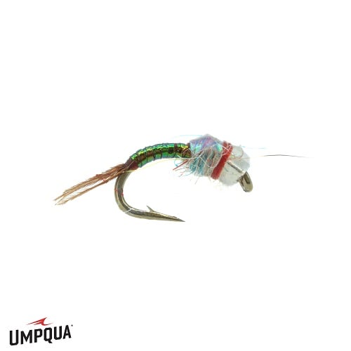 Rainbow Warrior - Umpqua