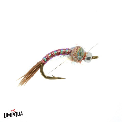 Rainbow Warrior - Umpqua