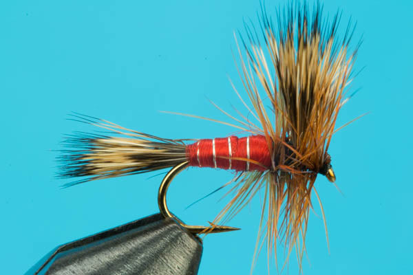 Red Wulff-Discount Trout — Big Y Fly Co