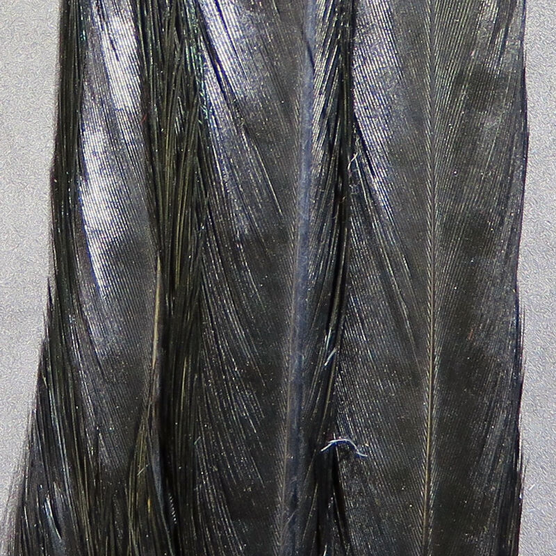 Ringneck Pheasant Complete Tail Clump--Hareline