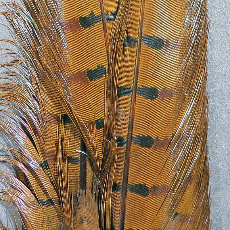 Ringneck Pheasant Complete Tail Clump--Hareline