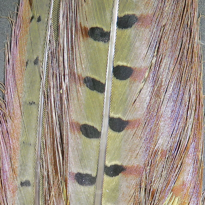 Ringneck Pheasant Complete Tail Clump--Hareline