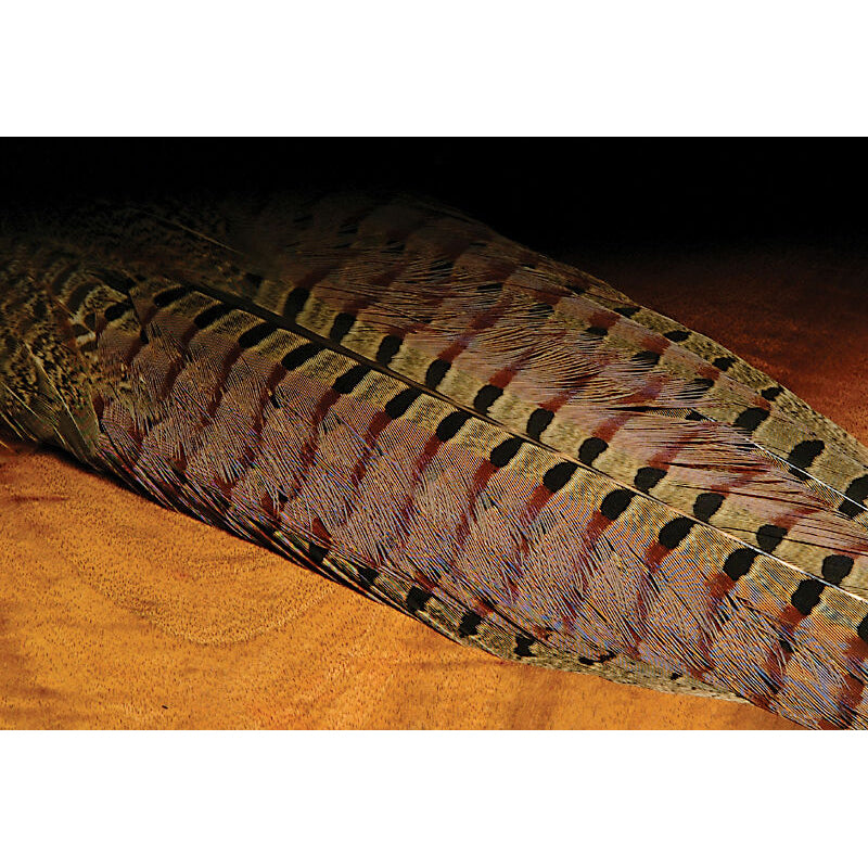 Ringneck Pheasant Complete Tail Clump--Hareline