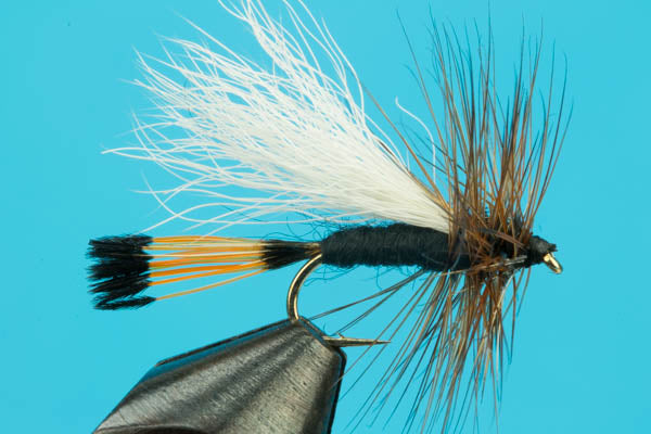 Rio Grande King Trude
