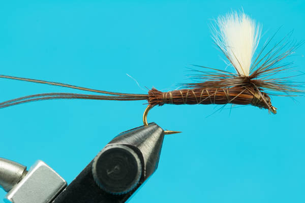 Roberts Drake-Premium Fishing Flies- — Big Y Fly Co