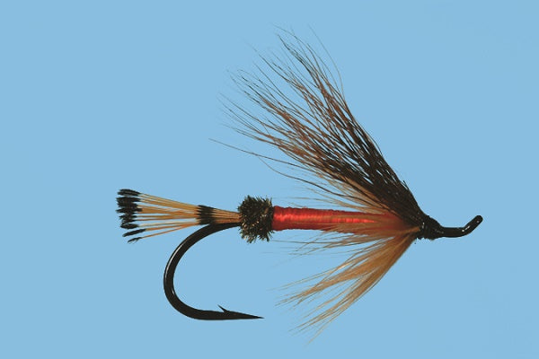 Rogue River Ant - Solitude