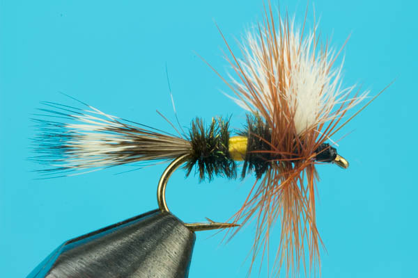 Royal Wulff Yellow Dry Fly
