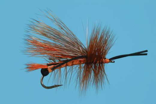 Salmon Fly, Egg Layer - Solitude
