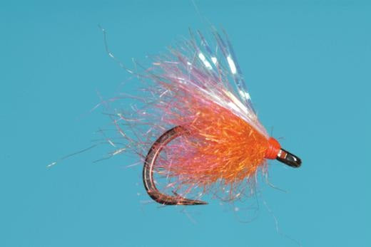 Salmon River MVP - Solitude