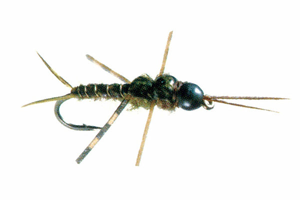 Skwala Stone Tungsten - Umpqua