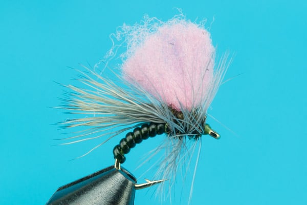 Snow Shoe Hi-Vis Caddis - Dry Fly