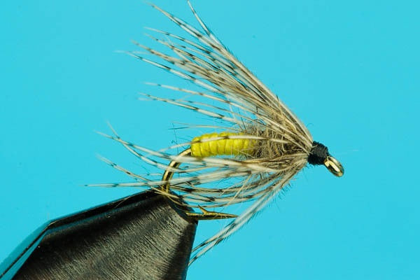 Soft Hackle Partridge Wet Flies-Hand Tied Trout Flies- — Big Y  Fly Co