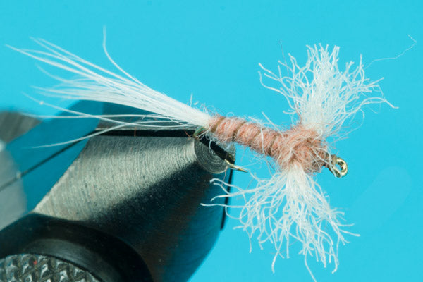 Spinner Pink Lady-Fishing Flies- — Big Y Fly Co