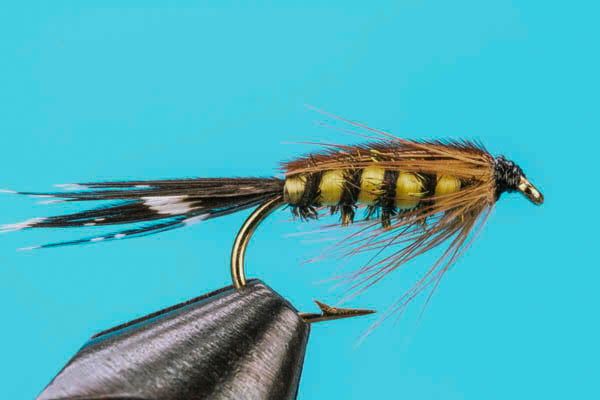Tellico Nymph