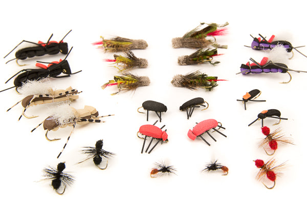 Terrestrials Assortment--24 Flies #54 — Big Y Fly Co
