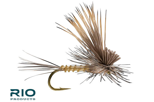 Tilt Wing — Big Y Fly Co