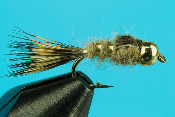 Fly