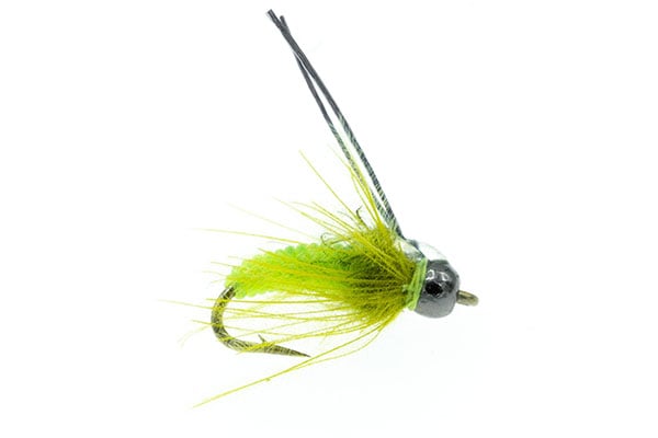 Twisted Caddis - Umpqua