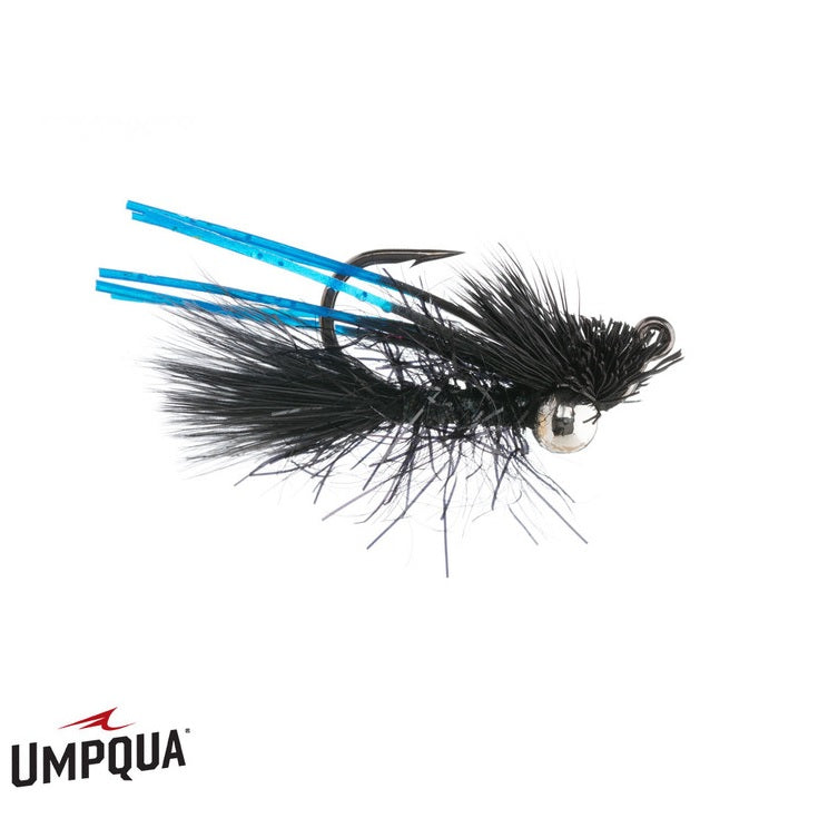 Great Carpholio - Umpqua