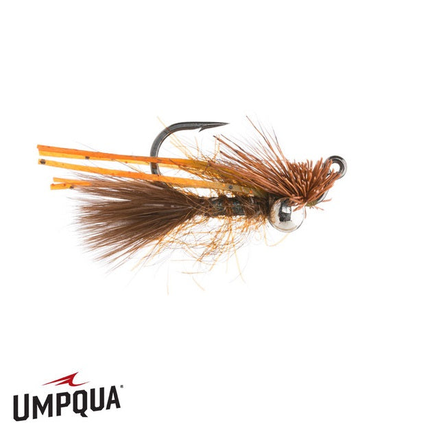 Great Carpholio - Umpqua