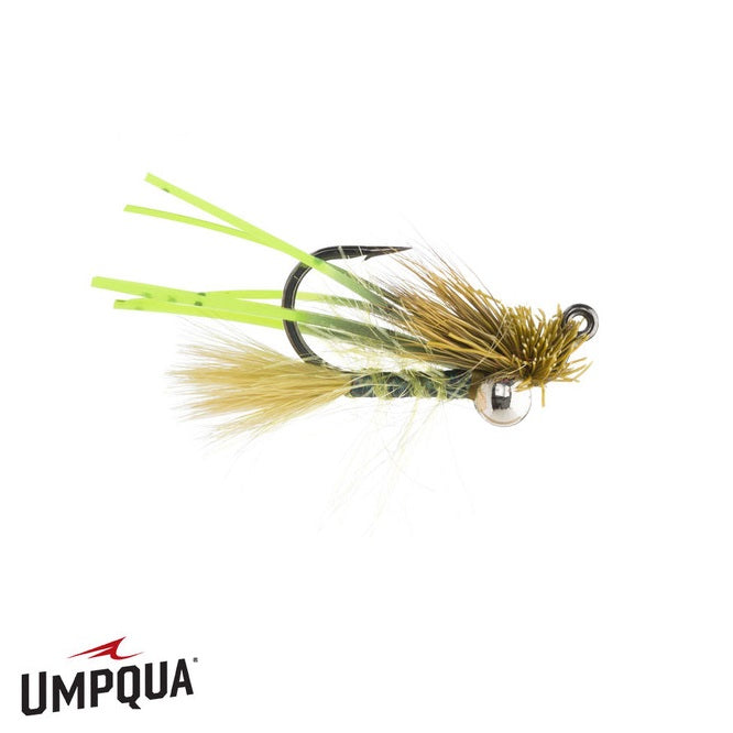 Great Carpholio - Umpqua