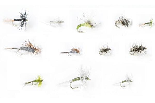 Winter Trout Dries Assortment--24 Flies #60 — Big Y Fly Co