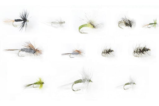 Troutflies UK Cruncher Nymphs – 24 Pack – Assorted Sizes & Colours – Fly Fishing Flies For Trout