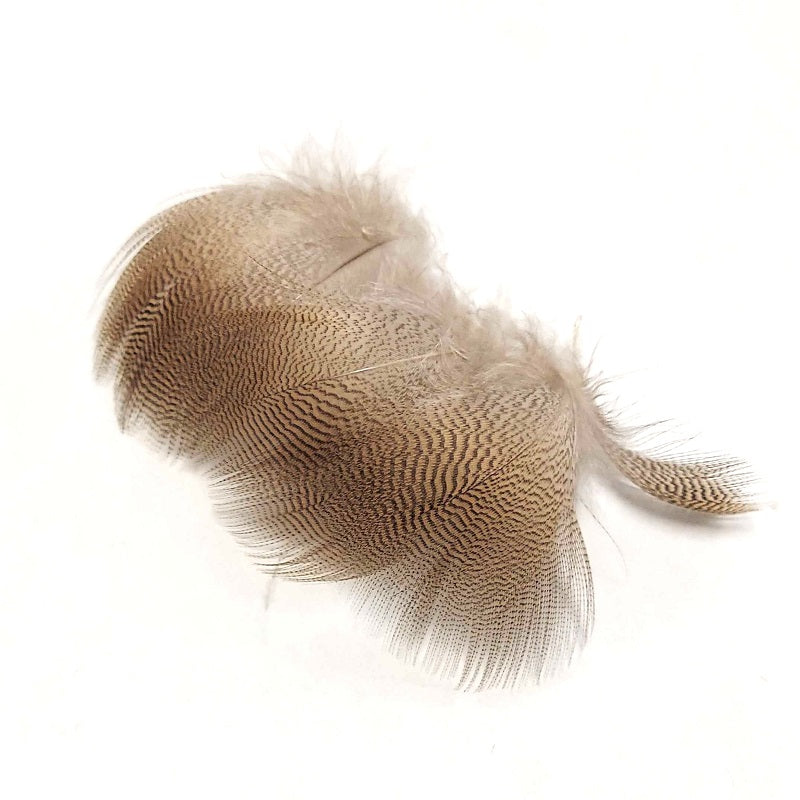 Wood Duck Feathers Lemon Barred  - WAPSI
