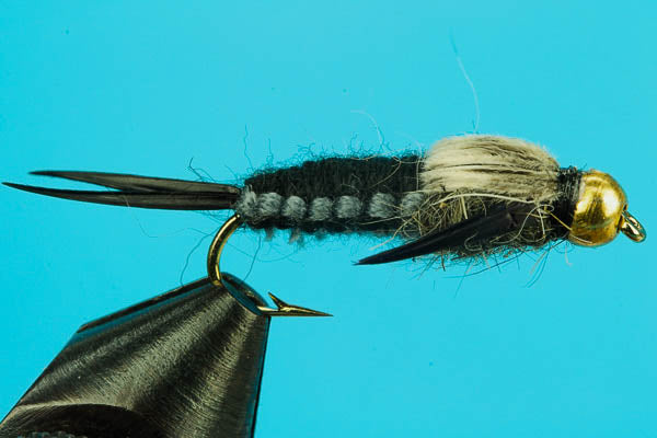 Trout Flies, Fishing Flies - 5 Bead Head Stonefly Fishing Flies - Black,  Wet Flies, Nymph Flies - Sizes 10, 12, 14, 16, 18