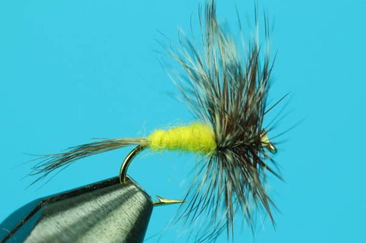 Size 10 March Brown Dry Flies