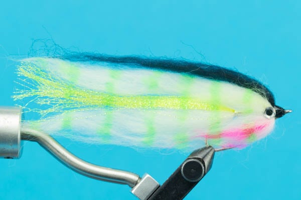 Baitfish-Fishing — Big Y Fly Co - Main Image